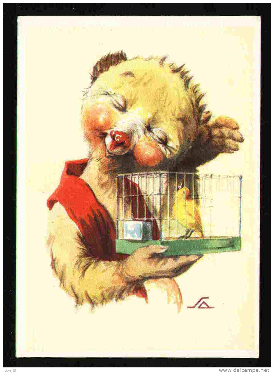 TEDDY BEAR With Bird In A Cage By Illustrator SALACH Pc 23420 - Beren