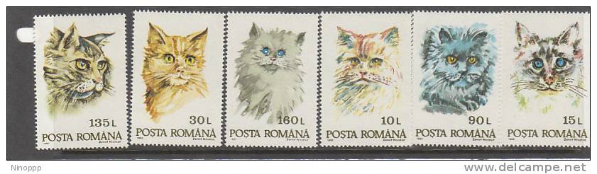 Romania-1993 Cats MNH - Domestic Cats