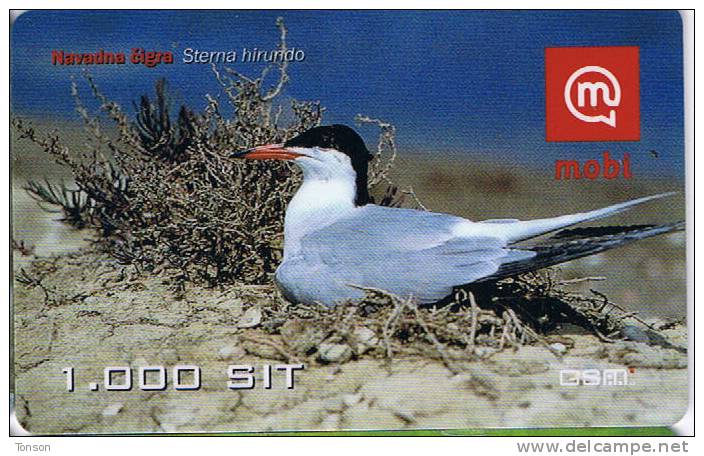 Slovenia, Mobitel, Birds 2, 1000 Tolarjev,   Common Tern , Exp. 31/12/2002. - Slovénie