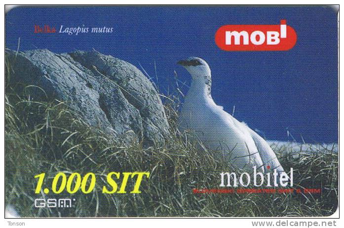 Slovenia, Mobitel, Birds 1, 1000 Tolarjev,   Rock Ptarmigan  , Exp. 31/12/2001. - Slowenien