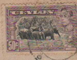 Ceylon, Sri Lanks, Used Air Mail To Malaya, Elephants, Animal - Olifanten