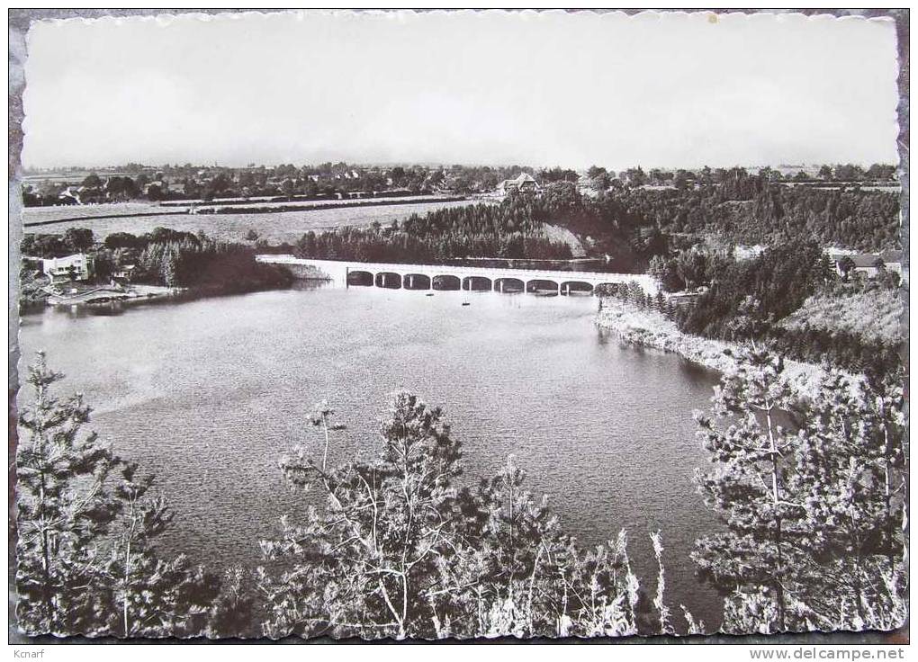 CP De ROBERTVILLE " Lac Et Pont " . - Weismes