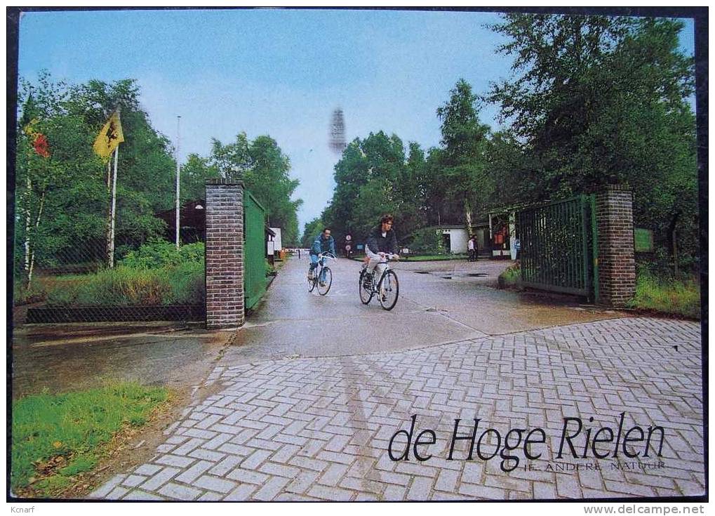 CP De KASTERLEE " DE HOGE RIELEN " . - Kasterlee