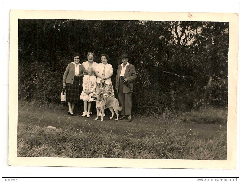 Antony (92) : Promenade Dans Le Bois En 1960 (animée) PHOTO RARE. - Antony