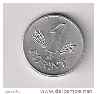 Hungary 1 Forint 1979. - Hongrie
