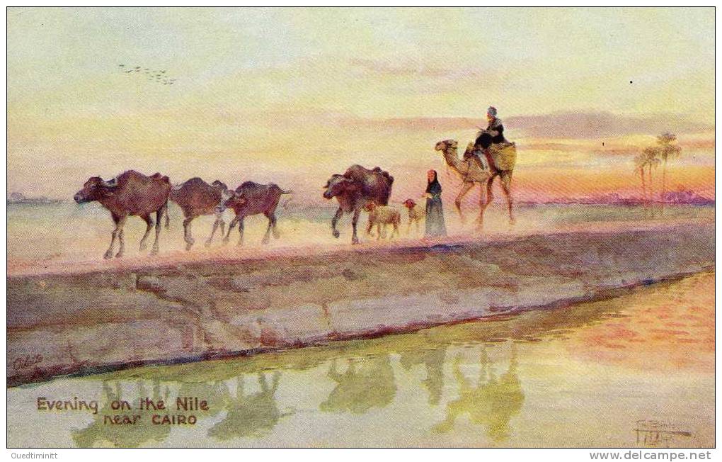 Egypte , Evening On The Nile. Peinture. - Autres & Non Classés