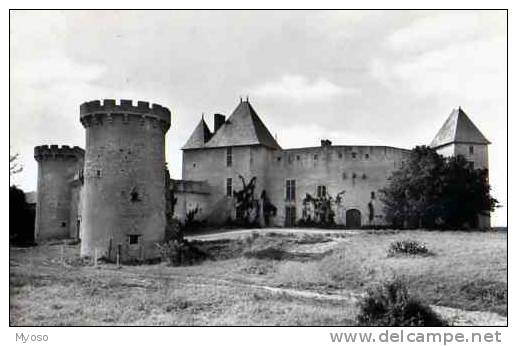 63 Le Chateau De LA ROCHE LES AIGUEPERSE Manoir Feodal Fief Du Chancelier Michel De L´Hospital Perspective Est - Aigueperse
