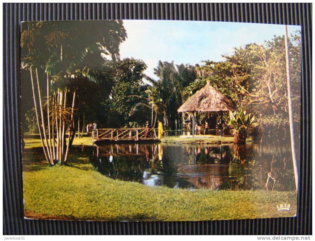 CPSM MAURICE-Mauritius-Jardin Pamplemousse - Maurice