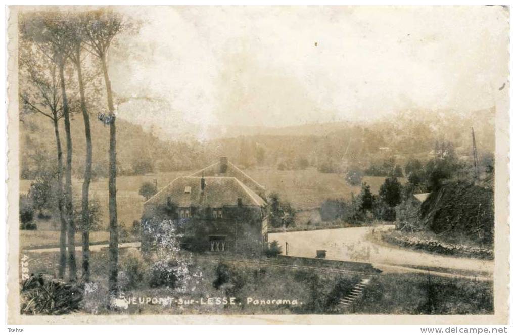 Neupont-sur-Lesse - Panorama ( Etat ???, Voir Scan ) -1944 - Wellin