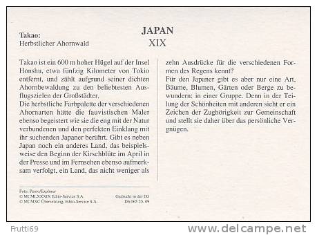 JAPAN - AK 23390 Takao - Herbstlicher Ahornwald - Autres & Non Classés