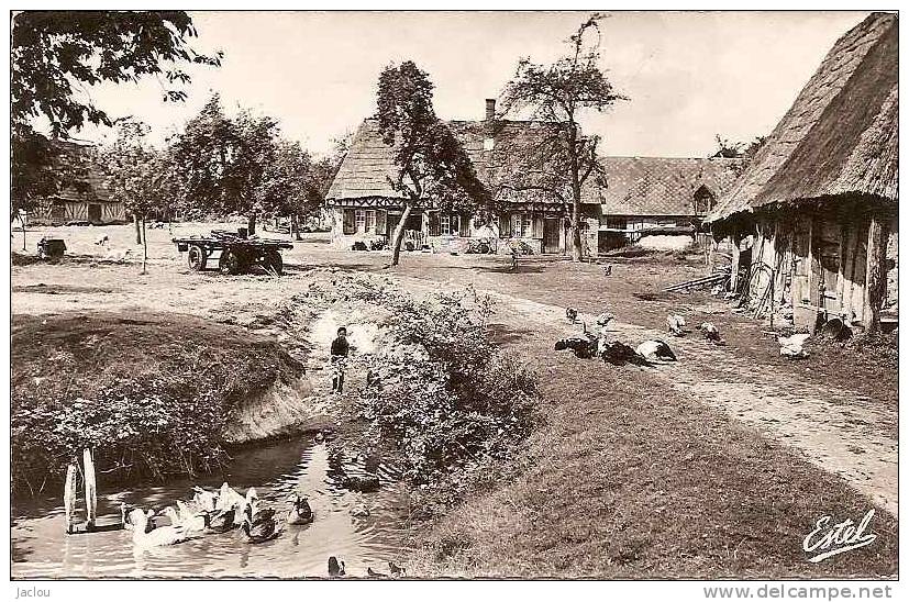 FERME NORMANDE ET SES VOLAILLES REF17650 - Fattorie