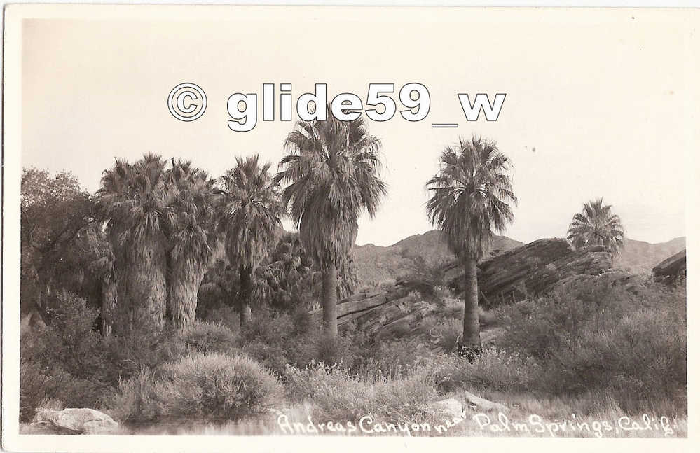 Andreas Canyon Near PALM SPRINGS - California - Palm Springs