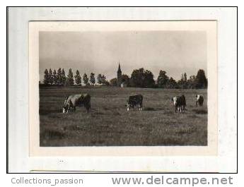 Photos, Reproductions, Nernier - N. D. Du Léman - Altri & Non Classificati