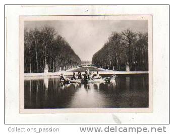 Photos, Reproductions, Versailles - Bassin D'Apollon - Other & Unclassified