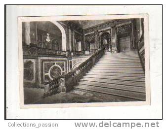 Photos, Reproductions, Versailles, L'Escalier De La Reine - Altri & Non Classificati