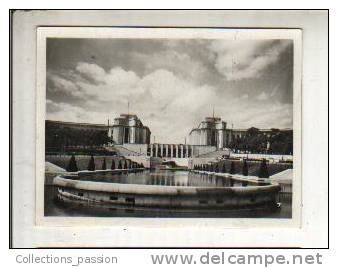 Photos, Reproductions, Paris - Palais De Chaillot - Other & Unclassified