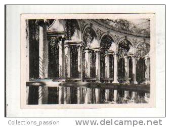 Photos, Reproductions, Versailles - La Colonnade - Altri & Non Classificati