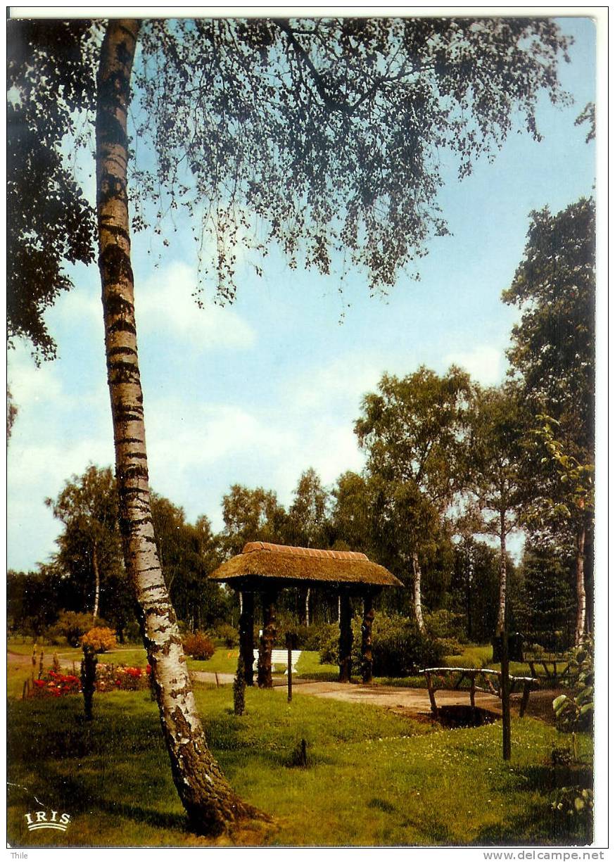 DOMEIN BOKRIJK - Het Arboretum - Genk