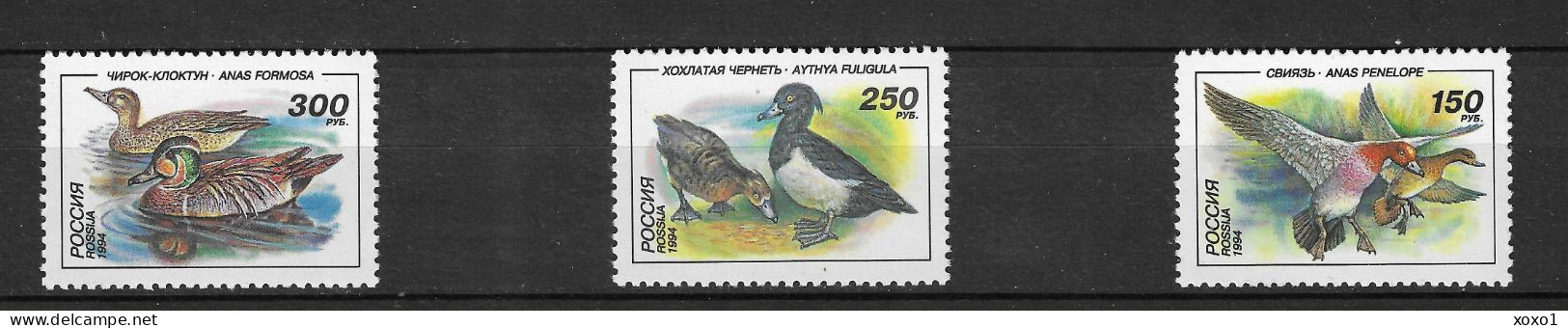 Russia 1994 MiNr. 389 - 391 Russland Birds Ducks III Eurasian Wigeon Tufted Duck Baikal Teal 3v + 2 M/sh  MNH** 27,20 € - Entenvögel