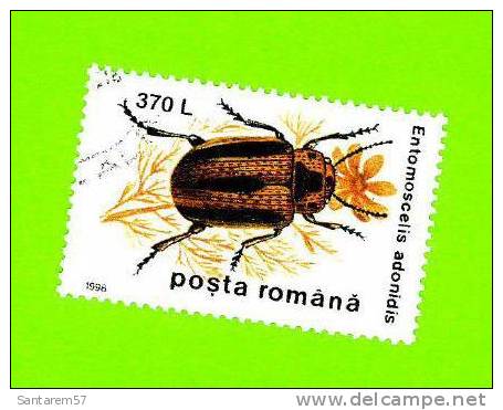 Timbre Oblitéré Used Mint Stamp Selo Carimbado Posta Romana 370 L Entomoscelis Adonidis Insect Rampant Crawling ROUMANIE - Used Stamps