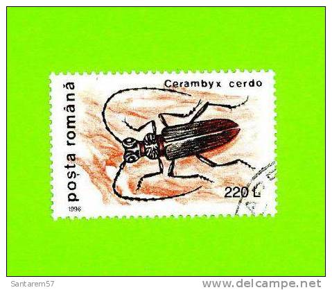 Timbre Oblitéré Used Mint Stamp Selo Carimbado Posta Romana 220 L Cerambyx Cerdo Insect Rampant Crawling Insect ROUMANIE - Gebruikt
