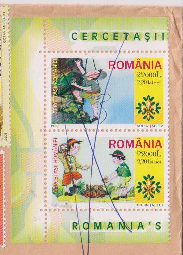 Romania Used Stamps Of 2004, 2005, Scouts, Gastronomy, Food, Vegetable, Meat, Drink Wine, Dog, Modern Art Painting - Covers & Documents