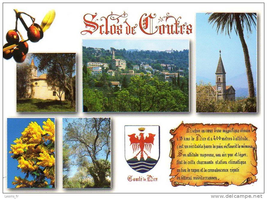 C. P. - SCLOS DE CONTES - MULTIVUES - PHOTOGUY - CENTRE DE REPOS ET DE VILLEGIATURE DE L'ARRIERE PAYS NICOIS - Contes