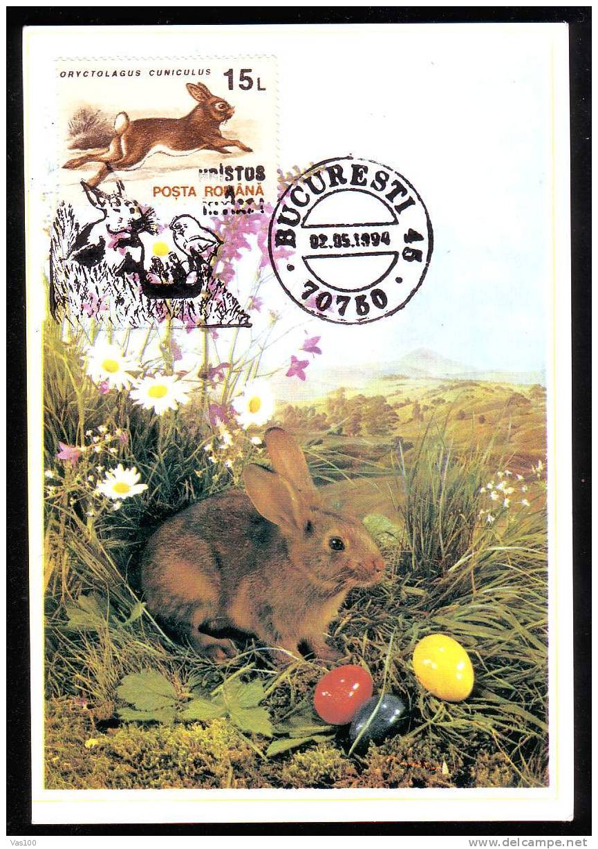 Romania 1994 MAXICARD,MAXIMUM CARD,Hunting, Animals,LAPINS. - Lapins