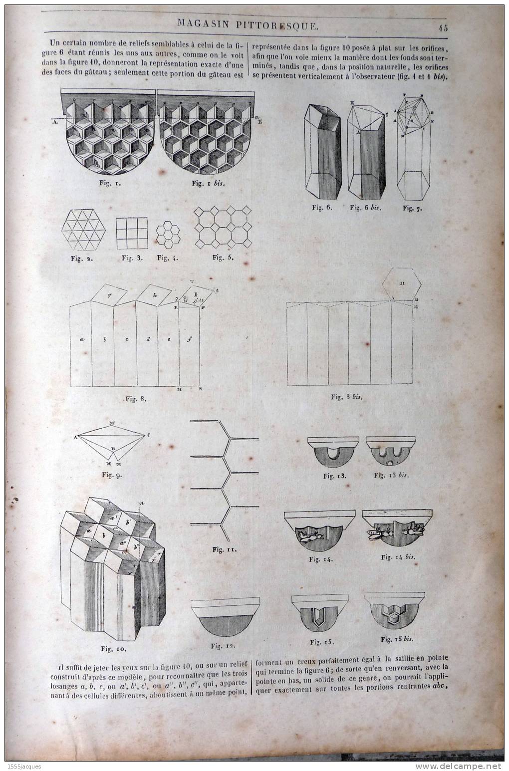 LE MAGASIN PITTORESQUE - FÉVR. 1842 - N°6 : VAL D´ENFER FORÊT NOIRE -TREGUIER POETE BRETON  -ABEILLES -THEATRE LOUIS XIV - 1800 - 1849