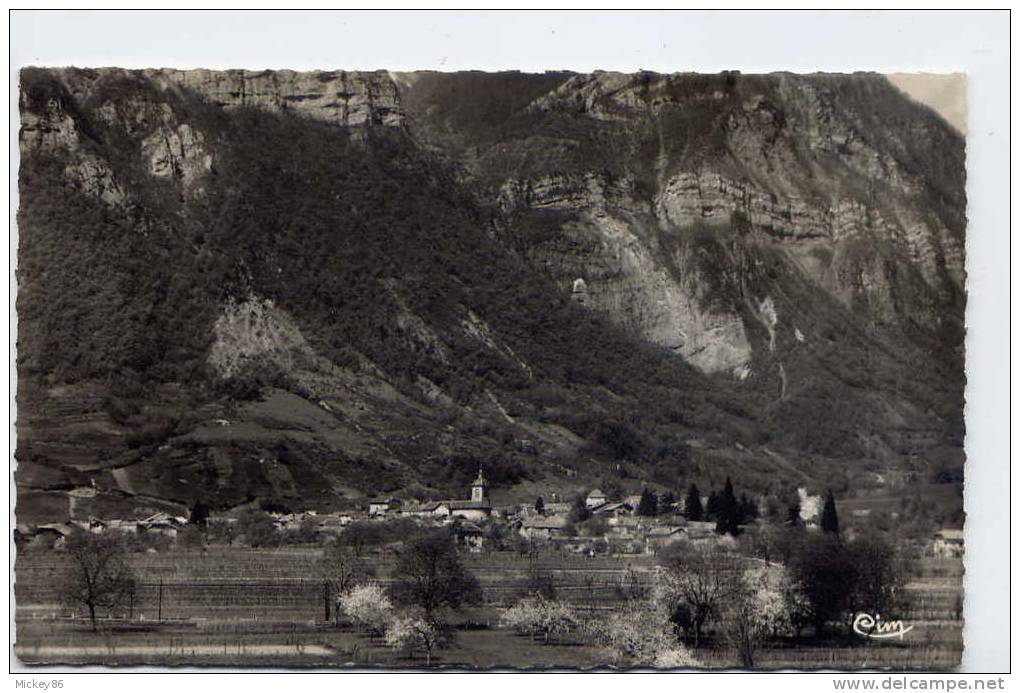 GRESY Sur Isère--datée  1961--Vue Générale Et Rochetorse, Cpsm Pt Format  N° 6  éd Combier - Gresy Sur Isere