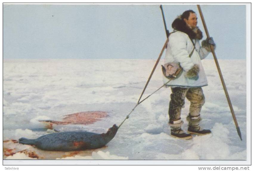 Alaska USA Seal Hunt - Other & Unclassified