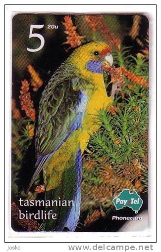 PARROT - Australia PayTel Old Rare MINT CARD Perroquet Loro Papagei Pappagallo Papegaai Ara Papagein Bird Oiseau - Australien