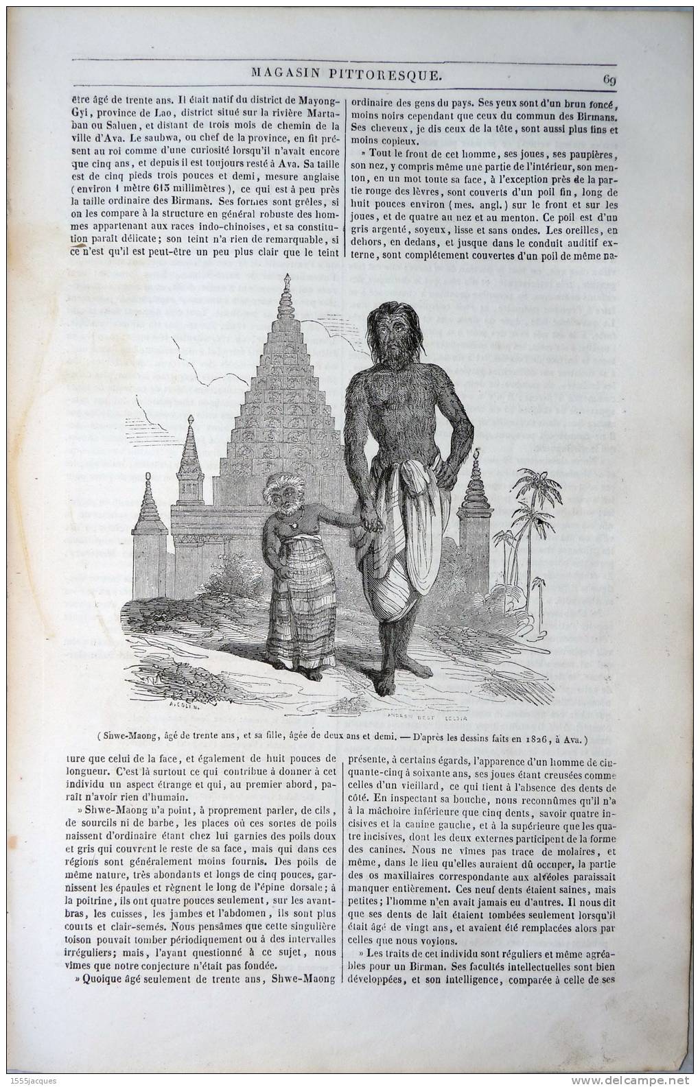 LE MAGASIN PITTORESQUE - FÉVR. 1842 - N°9 : COEVERDEN - HOMME PORC-EPIC SHWE-MAONG BIRMANIE - SAINT-GERMAIN-DES-PRES - - 1800 - 1849