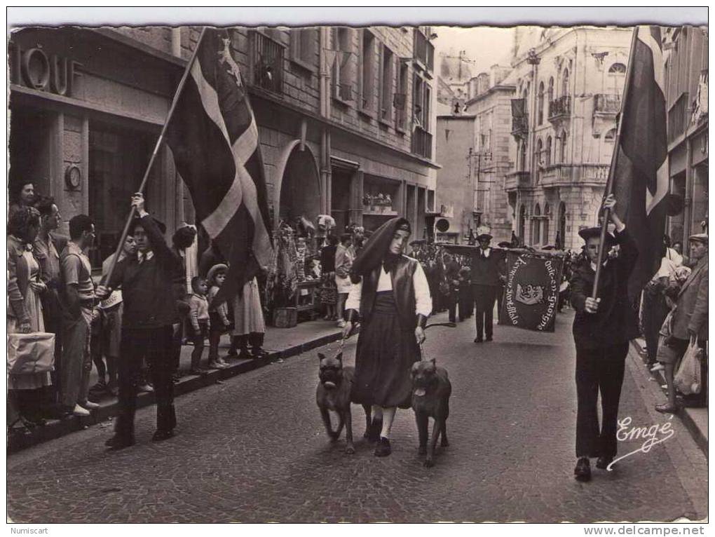 Saint-Malo..très Animée..la Rue De Dinan..défilé Du Groupe Folklorique "Quic-en-Groigne"..cavalcade..fête..beaux Chiens - Saint Malo