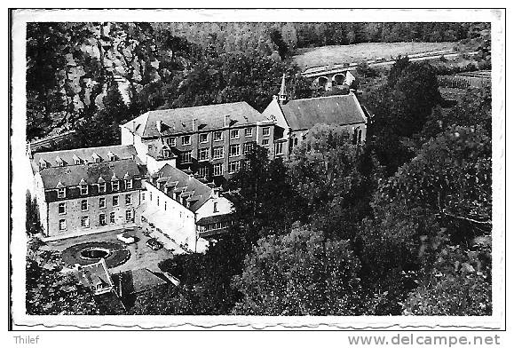 Yvoir 76: Institut Notre-Dame De Lourdes. Vue Générale - Yvoir