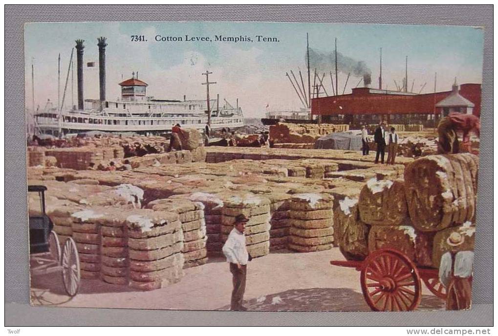 Memphis, Tenn. - 7341 - Cotton Levee - Memphis