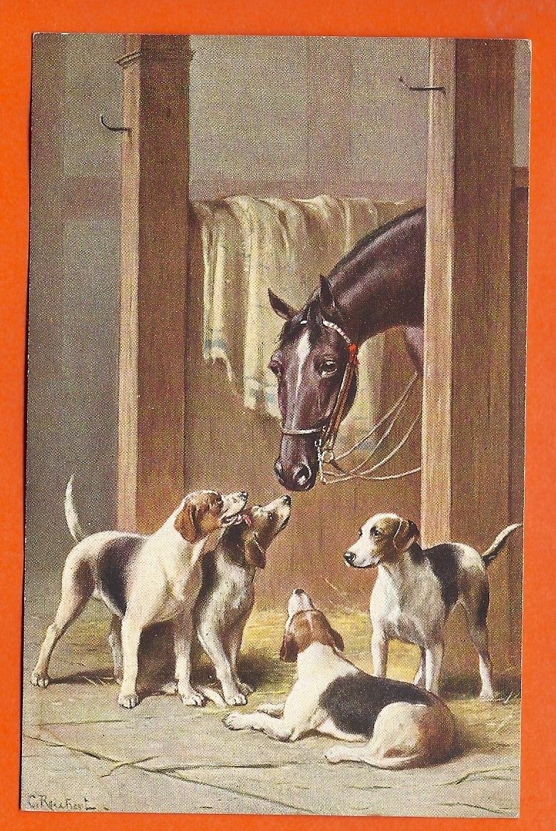 Raphael Tuck Oilette  -  4 Chiens  Et  Cheval - Tuck, Raphael