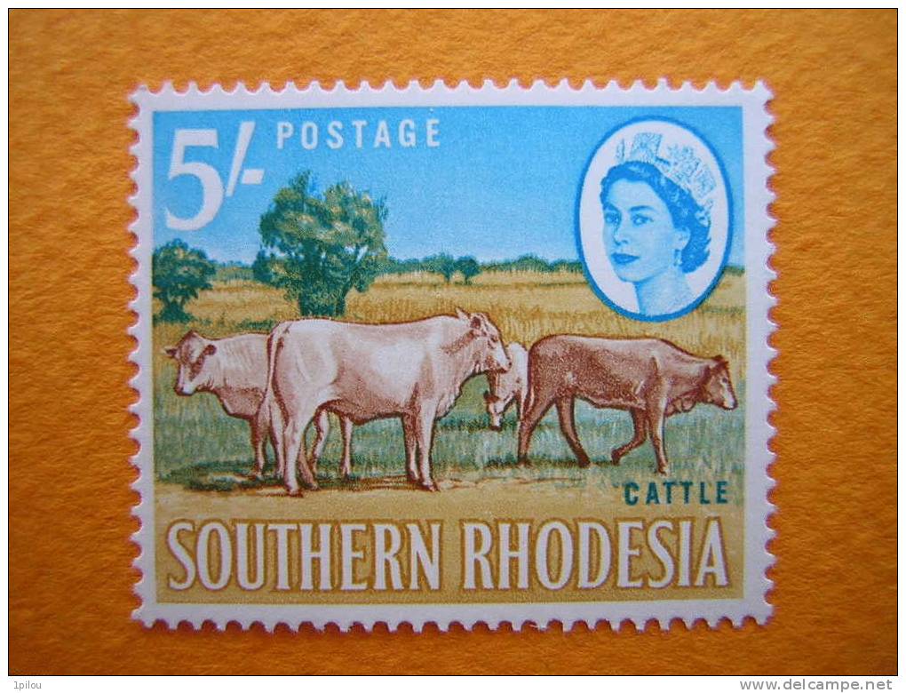 RHODESIE DU SUD.  BOEUFS. - Rhodesia Del Sud (...-1964)