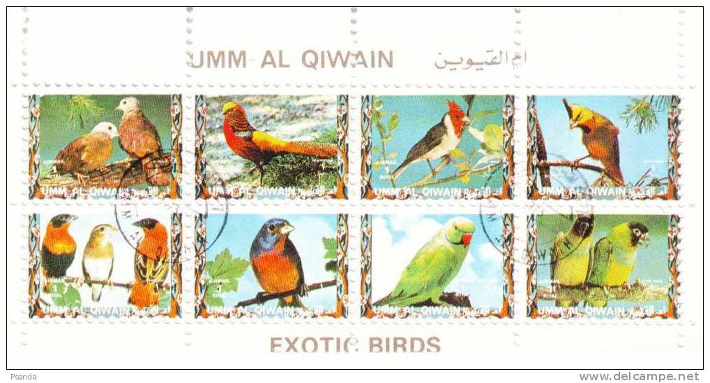 UM Al Qiwain  Exotic Birds - Umm Al-Qiwain