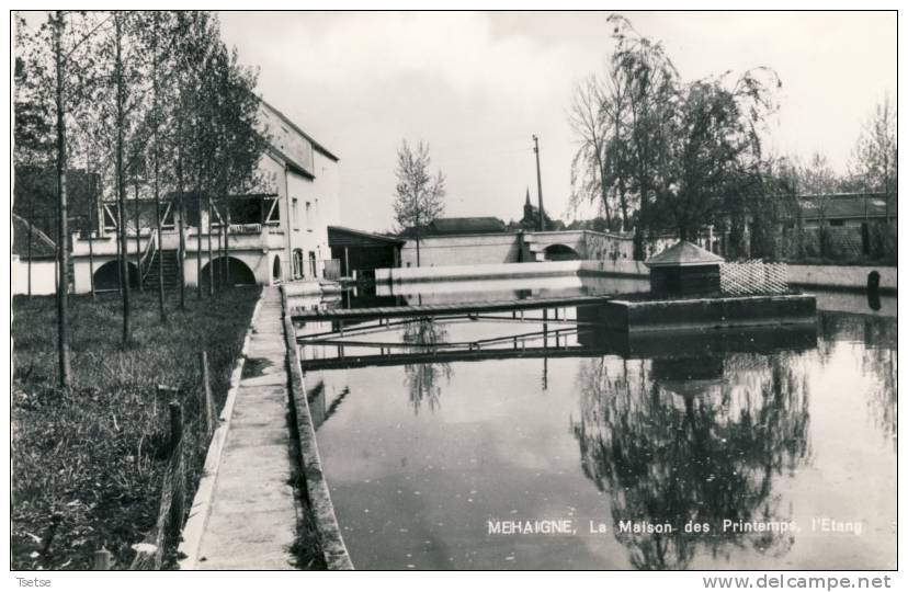 Mehaigne - La Maison Des Printemps, L'Etang - 1965 - Eghezee