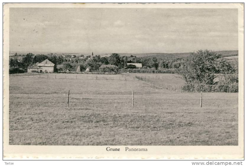 Grune - Panorama ... De La Localité -1948 ( Voir Verso ) - Nassogne