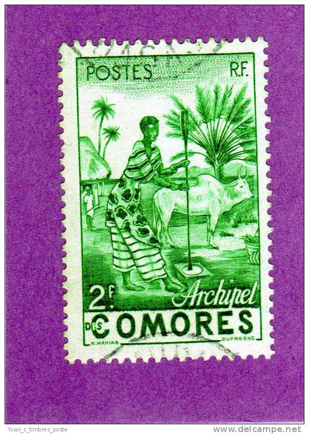 COLONIES FRANCAISES COMORES TIMBRE N° 4 OBLITERE FEMME INDIGENE - Autres & Non Classés