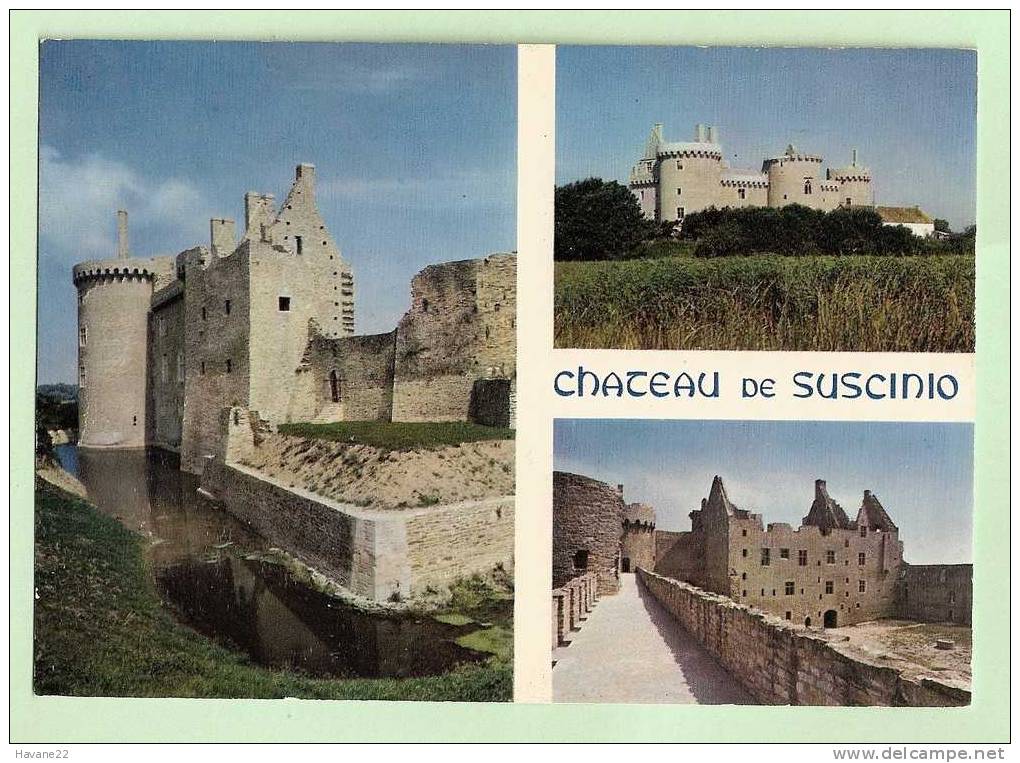 M1059 56 CHATEAU DE SUSCINIO MULTI VUE 1977 - Autres & Non Classés