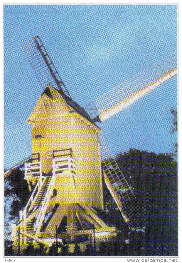 Carte Postale 59. Mont Cassel  Le Moulin  Trés Beau Plan - Cassel