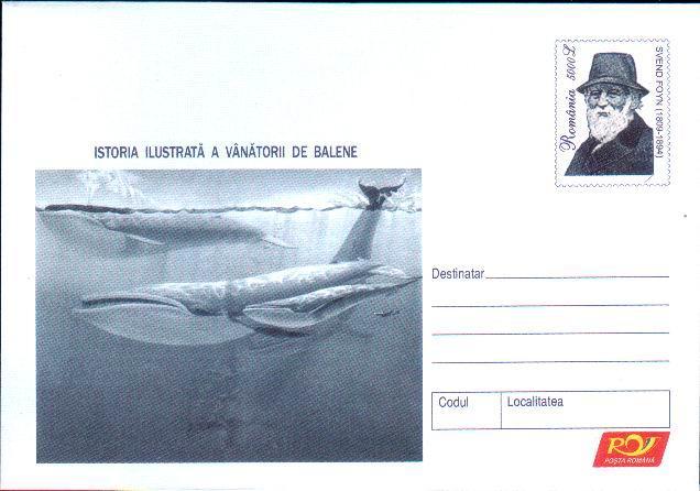 WHALE BALEINE Entier Postal Stationery 186/2004. - Baleines