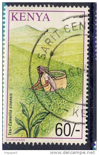 #Kenya 2001. Tea Growing. Michel 757. Cancelled(o) - Kenya (1963-...)