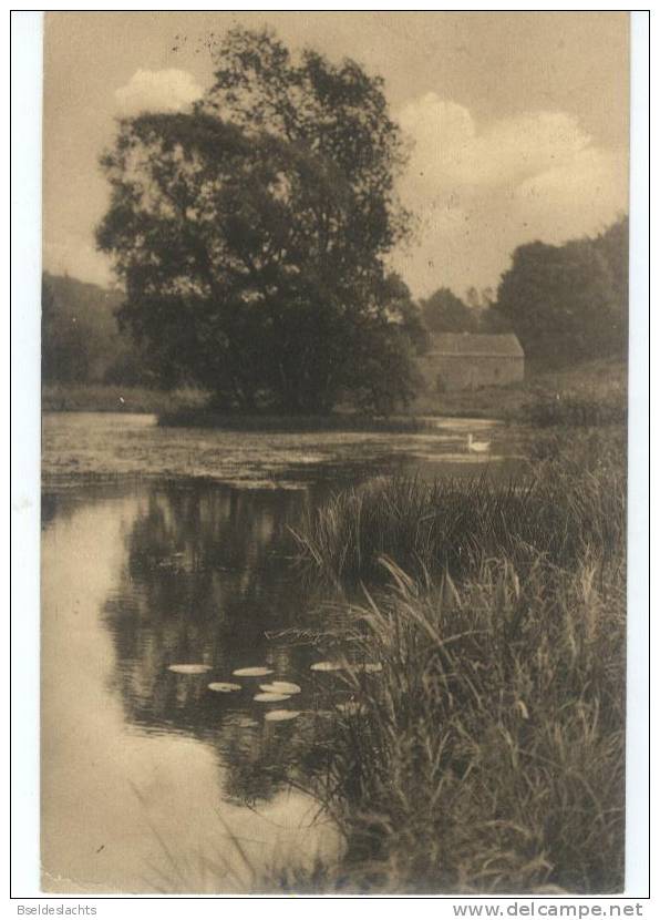 Ligue Des Amis De La Forêt De Soignes Etang De Rouge Cloître - Watermaal-Bosvoorde - Watermael-Boitsfort