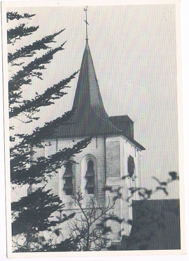 Zedelgem Sint Laurentinus Kerk - Zedelgem