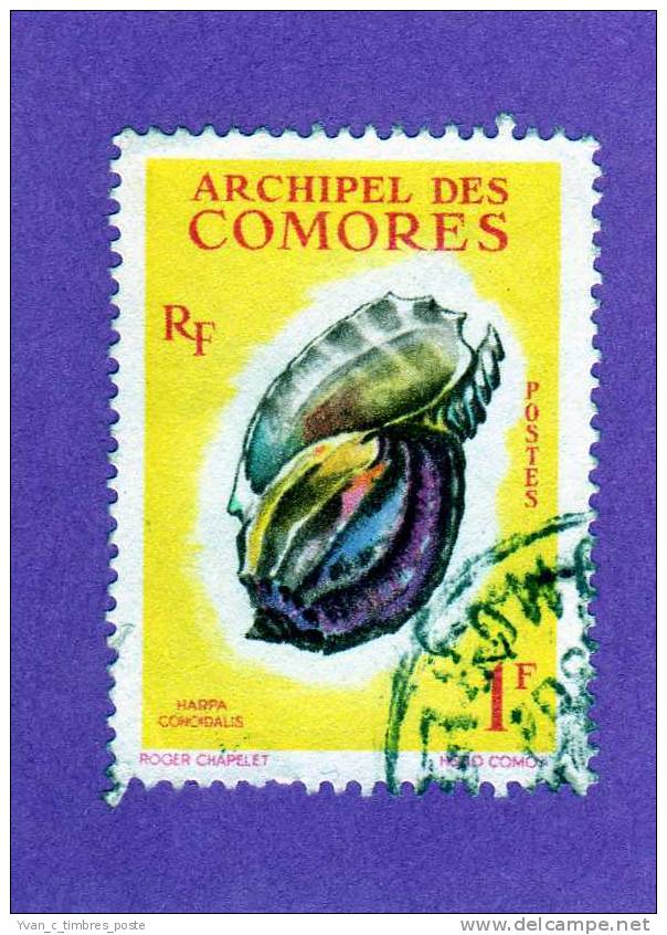 COLONIES FRANCAISES COMORES TIMBRE N° 20 OBLITERE COQUILLAGES HARPA CONGIDATIS - Sonstige & Ohne Zuordnung