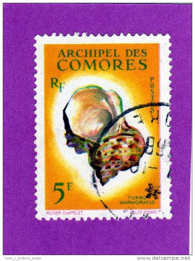 COLONIES FRANCAISES COMORES TIMBRE N° 22 OBLITERE COQUILLAGES TURBO MARMORATUS - Sonstige & Ohne Zuordnung